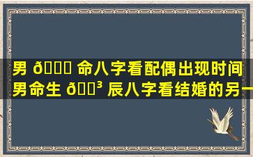 男 🐈 命八字看配偶出现时间「男命生 🐳 辰八字看结婚的另一半」